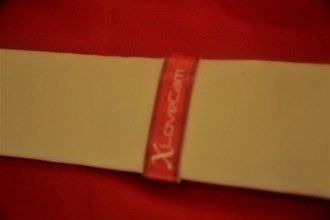 lalexpo17_xlovedinner055  